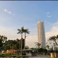 Flame Tree Park (D20), Condominium #500960111